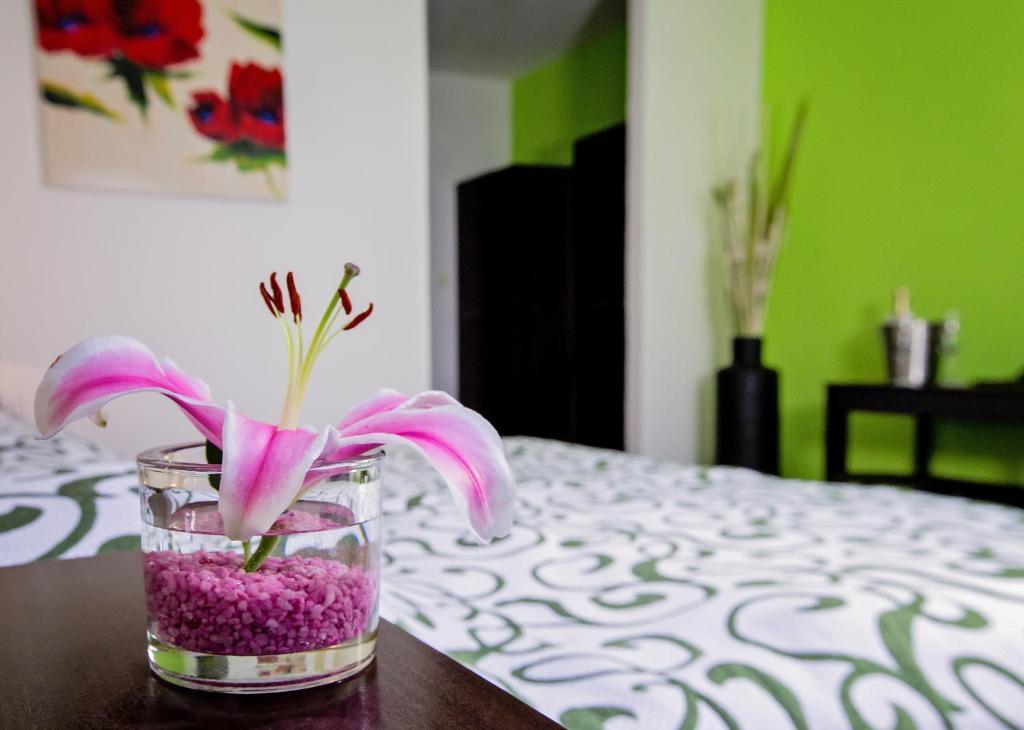 Bona Serva Prague Room photo